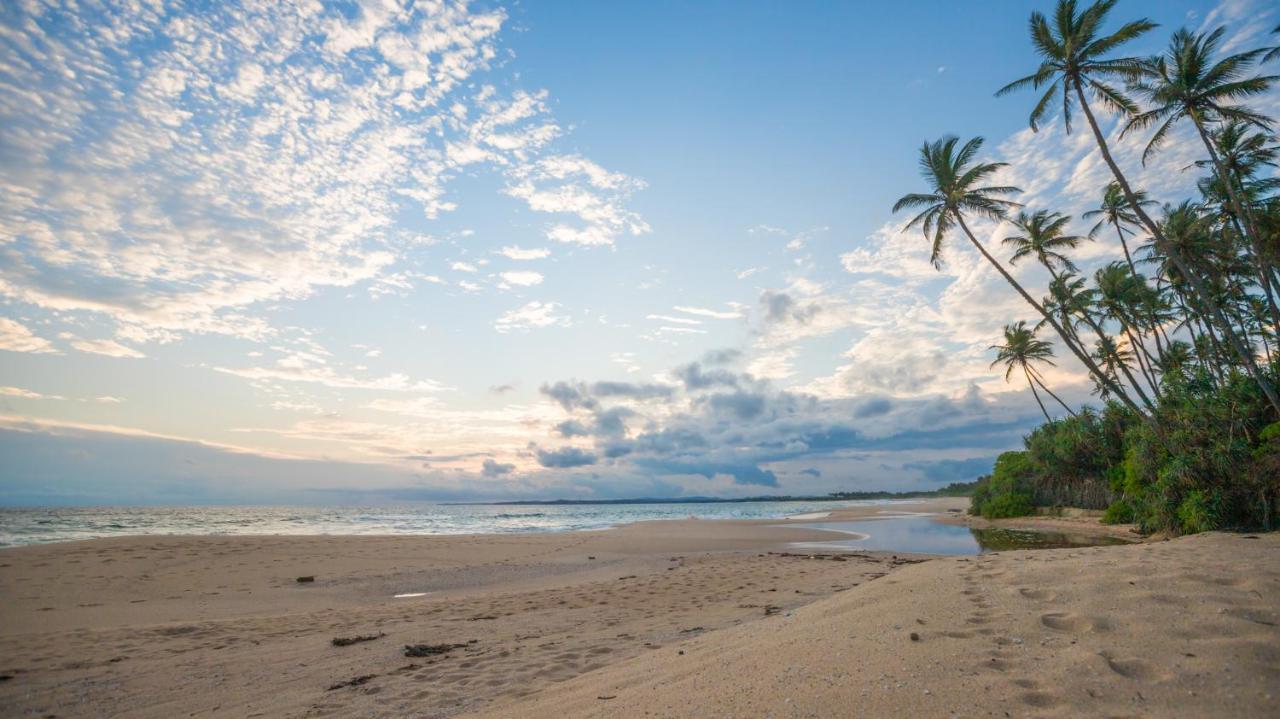Shine Wave Turtle Beach Tangalle Exterior foto