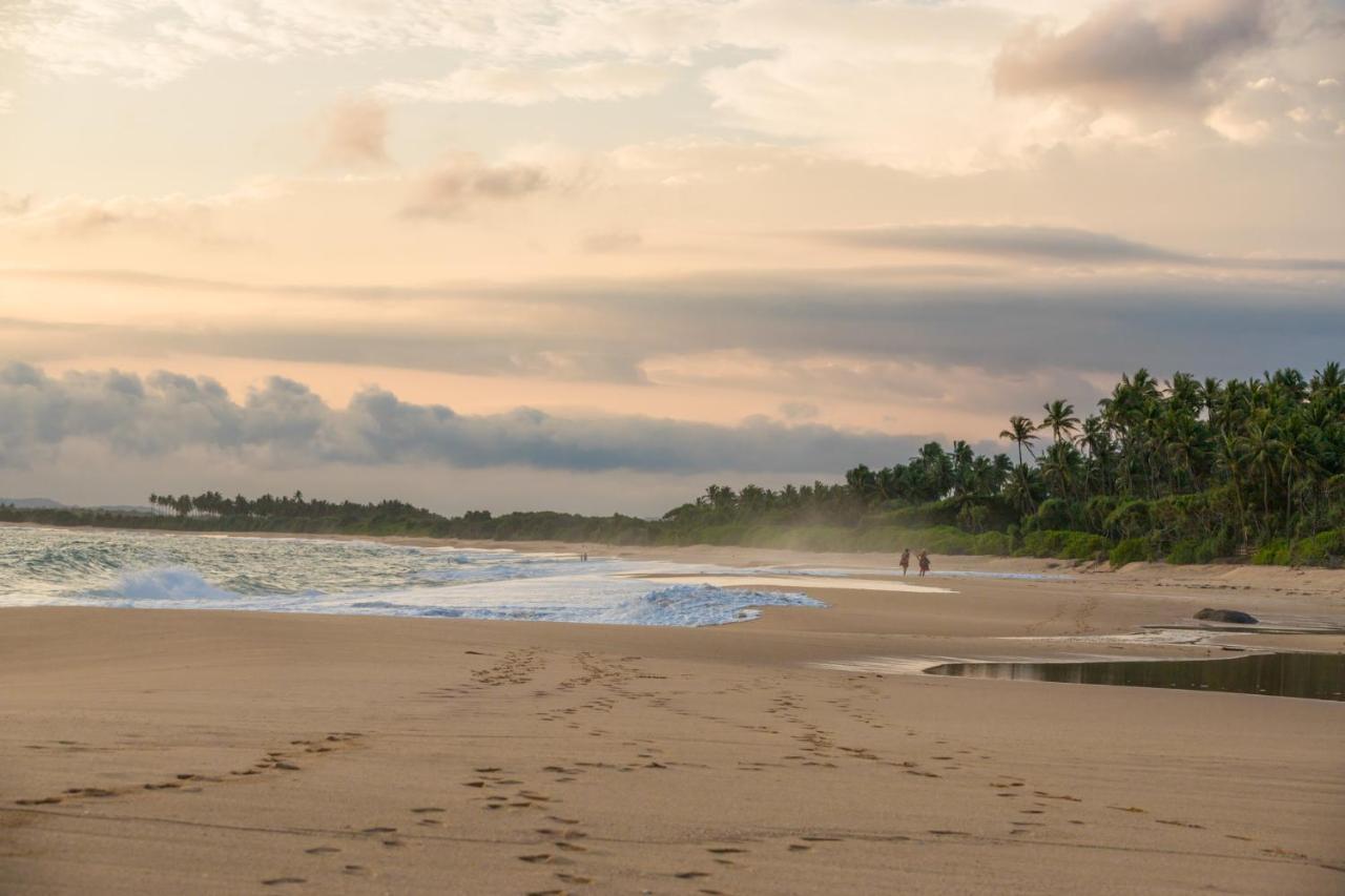 Shine Wave Turtle Beach Tangalle Exterior foto