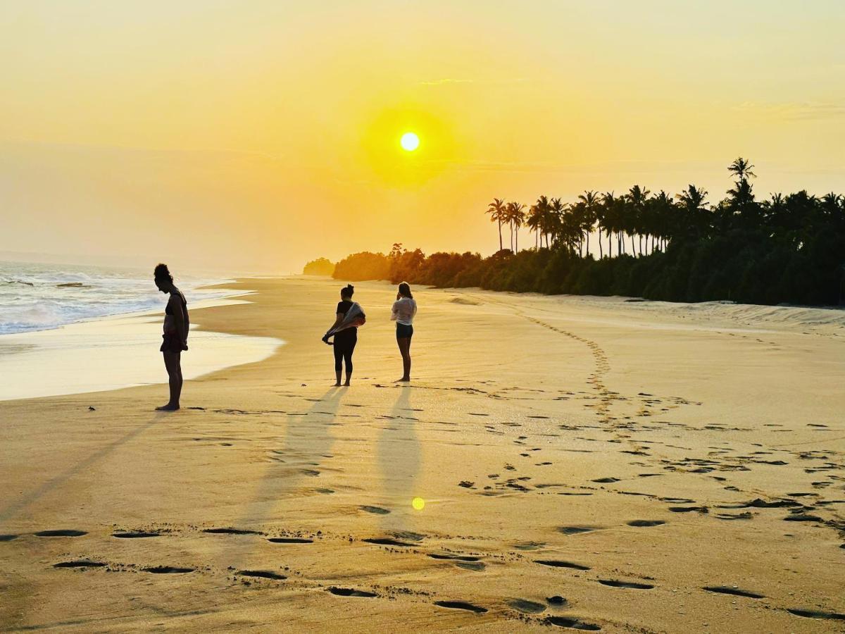 Shine Wave Turtle Beach Tangalle Exterior foto