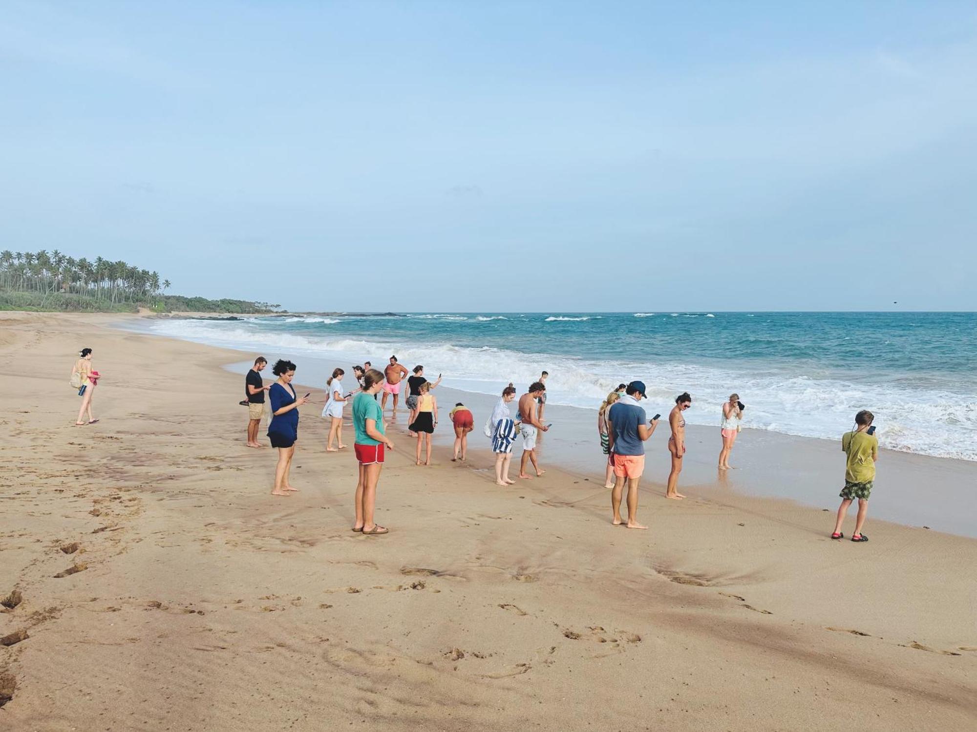 Shine Wave Turtle Beach Tangalle Exterior foto