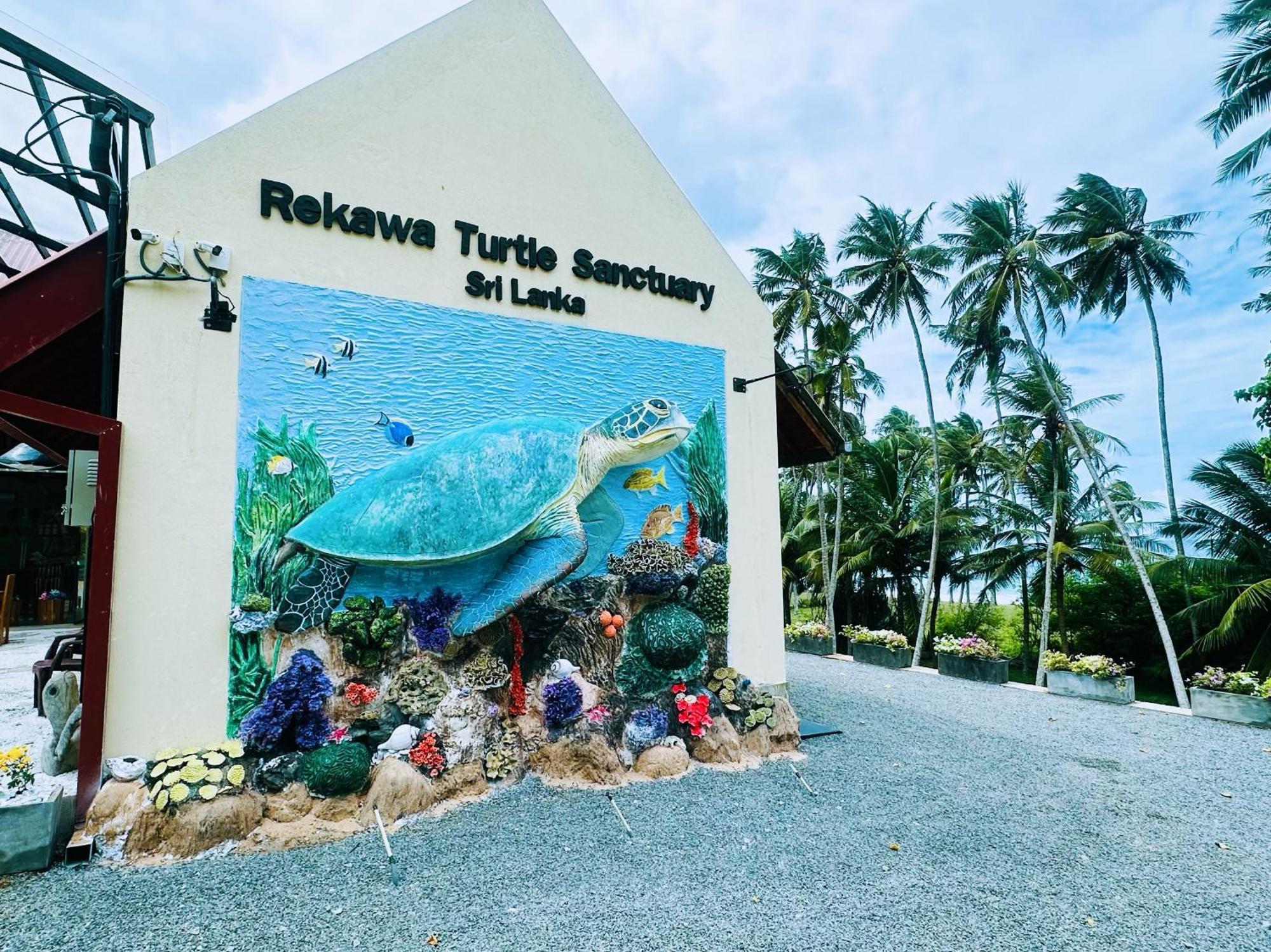 Shine Wave Turtle Beach Tangalle Exterior foto